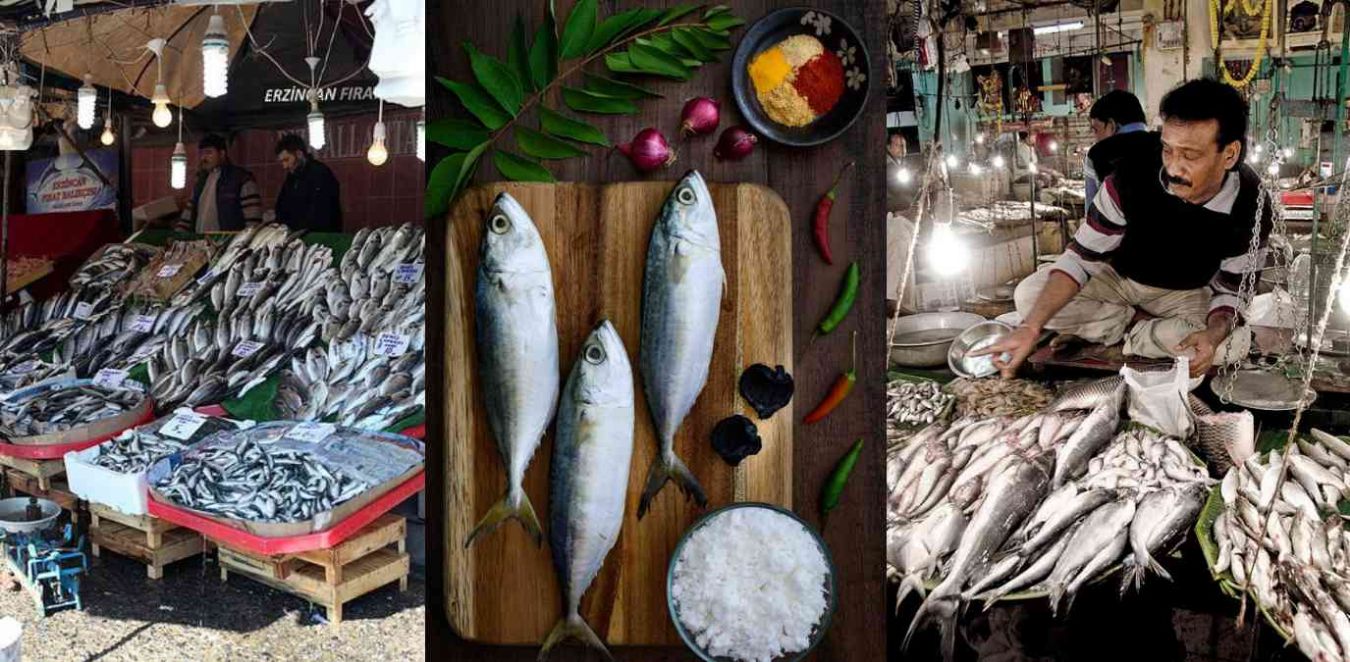 Finding the Best Fish Near Me: Tips for Healthy Choices & Top Fish Markets